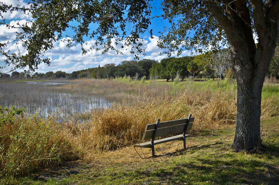 A bench in the grass near some water